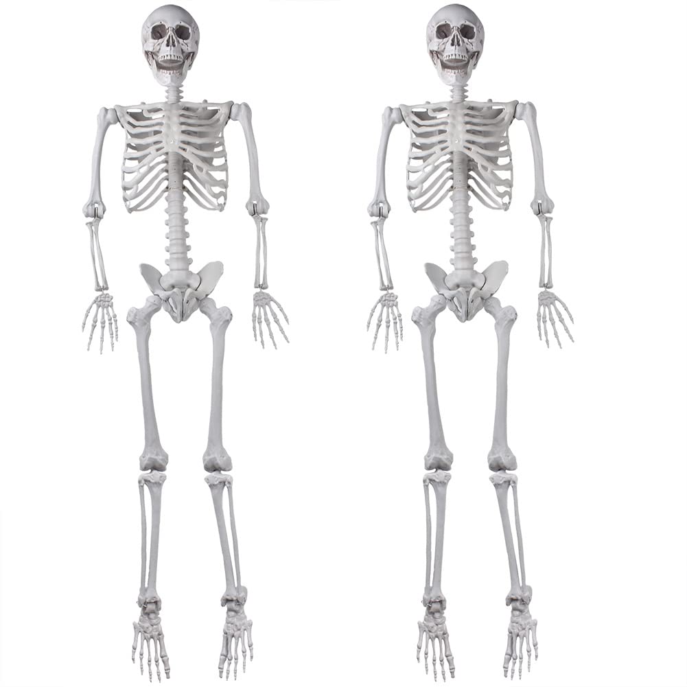 2Packs 5.4ft Life Size Full Body Skeletons with Movable Joints M35470
