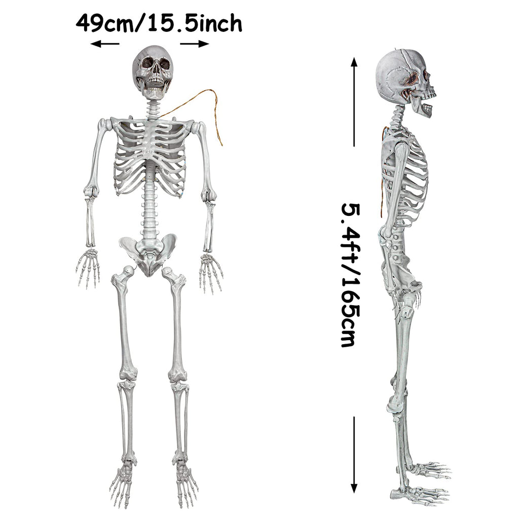 2Packs 5.4ft Life Size Full Body Skeletons with Movable Joints M35470
