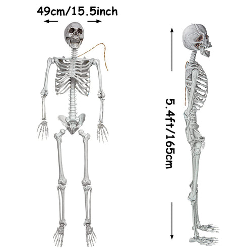 2Packs 5.4ft Life Size Full Body Skeletons with Movable Joints M35470