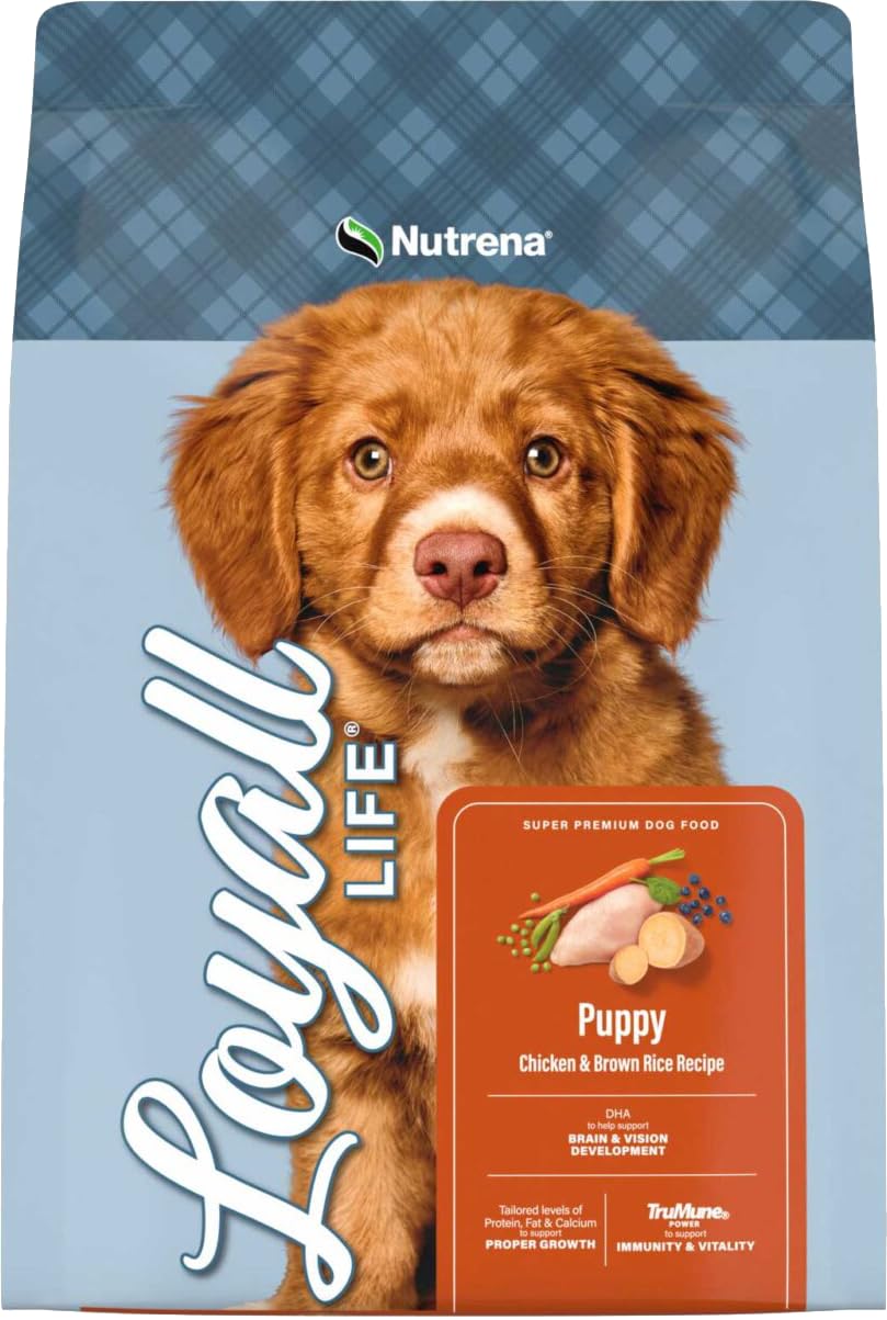 Chicken & Brown Rice Puppy Food 6 Pounds G38137