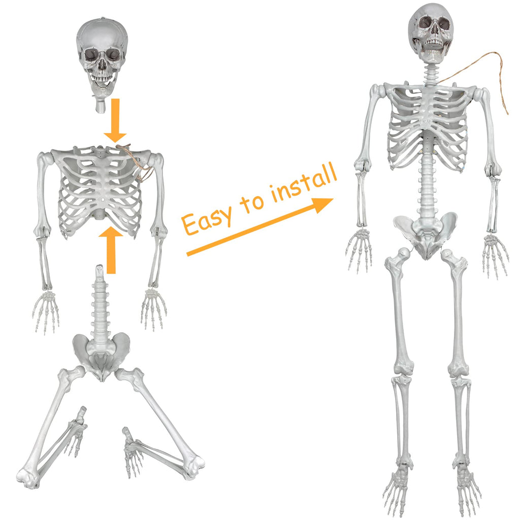 2Packs 5.4ft Life Size Full Body Skeletons with Movable Joints M35470