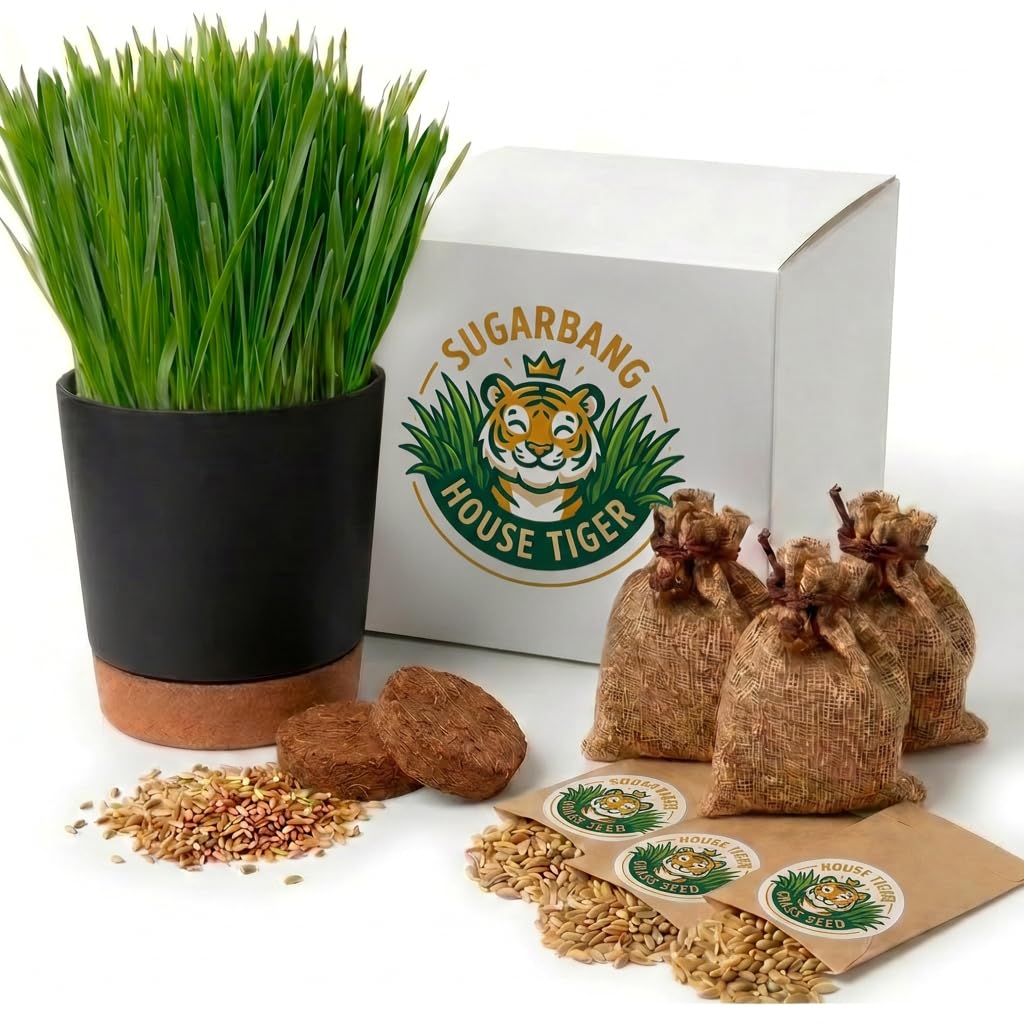 Cat Grass Gift Set with Self-Watering Pot & 3-Pack Refill H843122