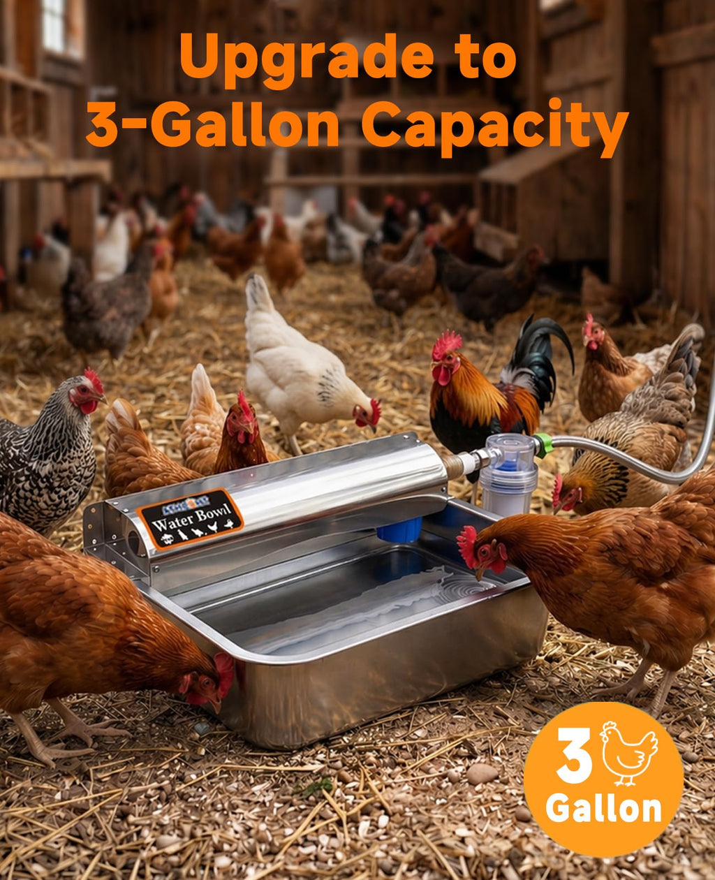 Automatic Chicken Waterer 304 Stainless Steel O1220