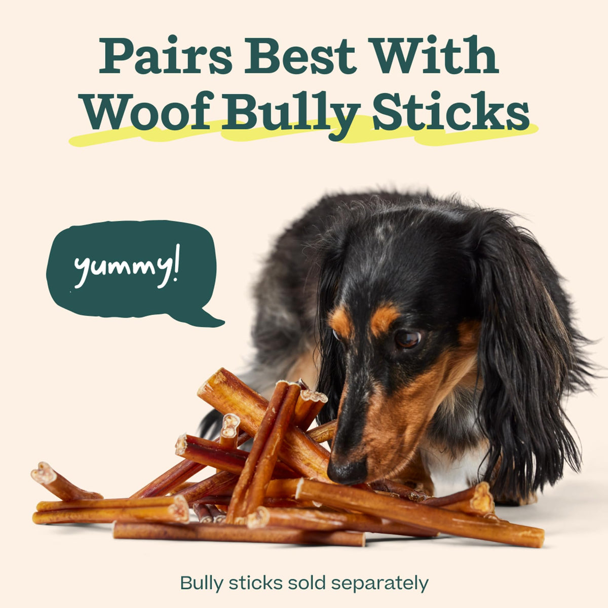 Bully Stick Holder for Dogs K79245