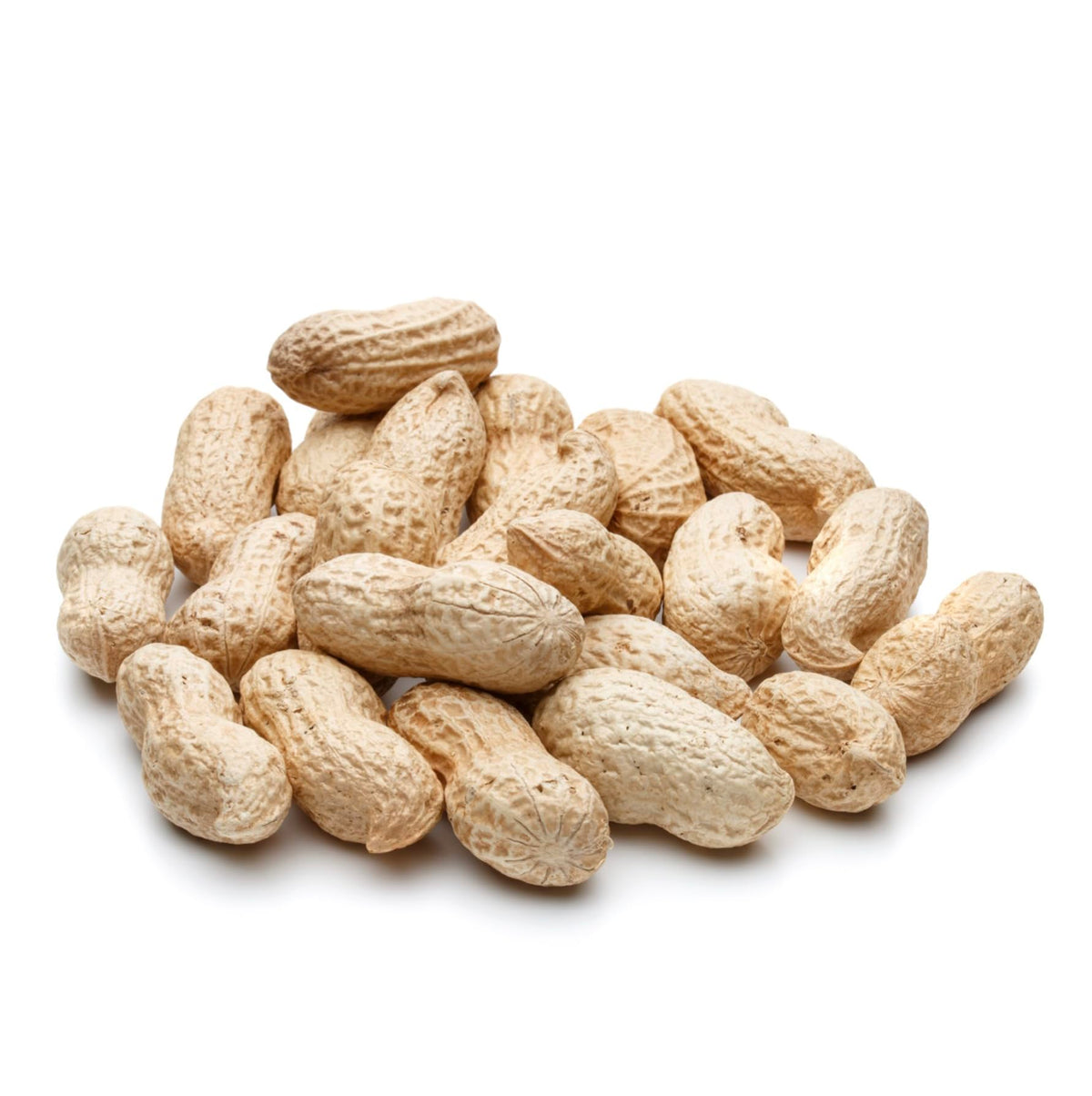 Raw Peanuts 25 LBS Q7538