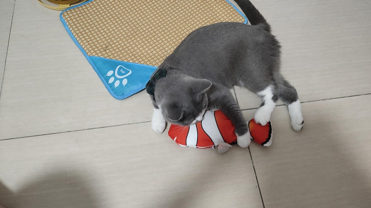 Organic Cat Grass Kit with Interactive Fish Toy V4266