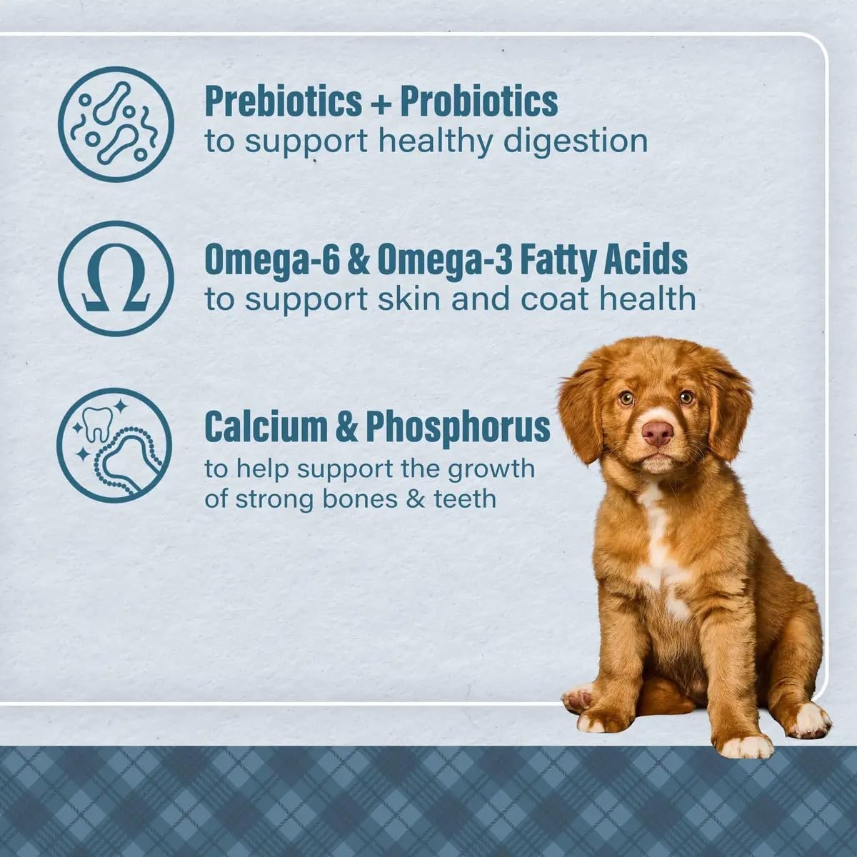 Chicken & Brown Rice Puppy Food 6 Pounds G38137