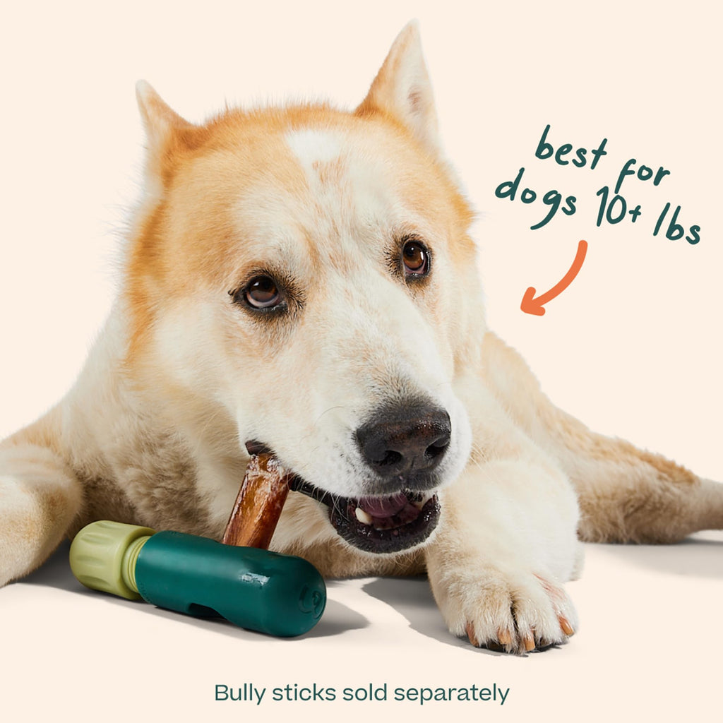 Bully Stick Holder for Dogs K79245