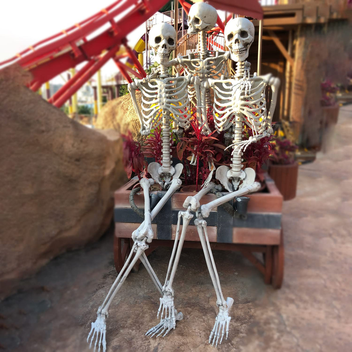2Packs 5.4ft Life Size Full Body Skeletons with Movable Joints M35470