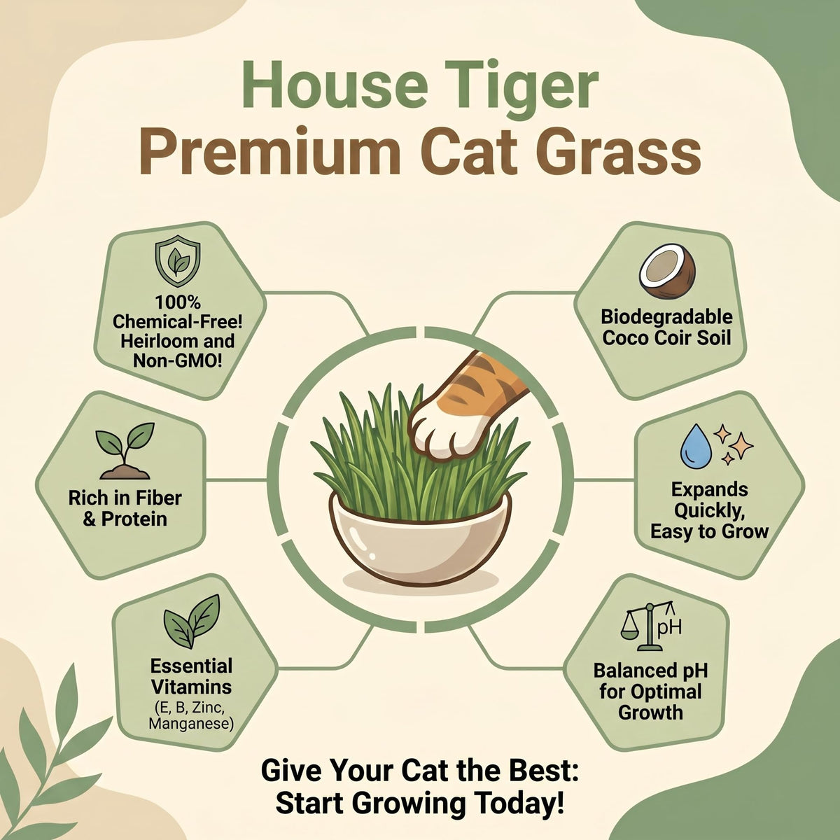 Cat Grass Gift Set with Self-Watering Pot & 3-Pack Refill H843122