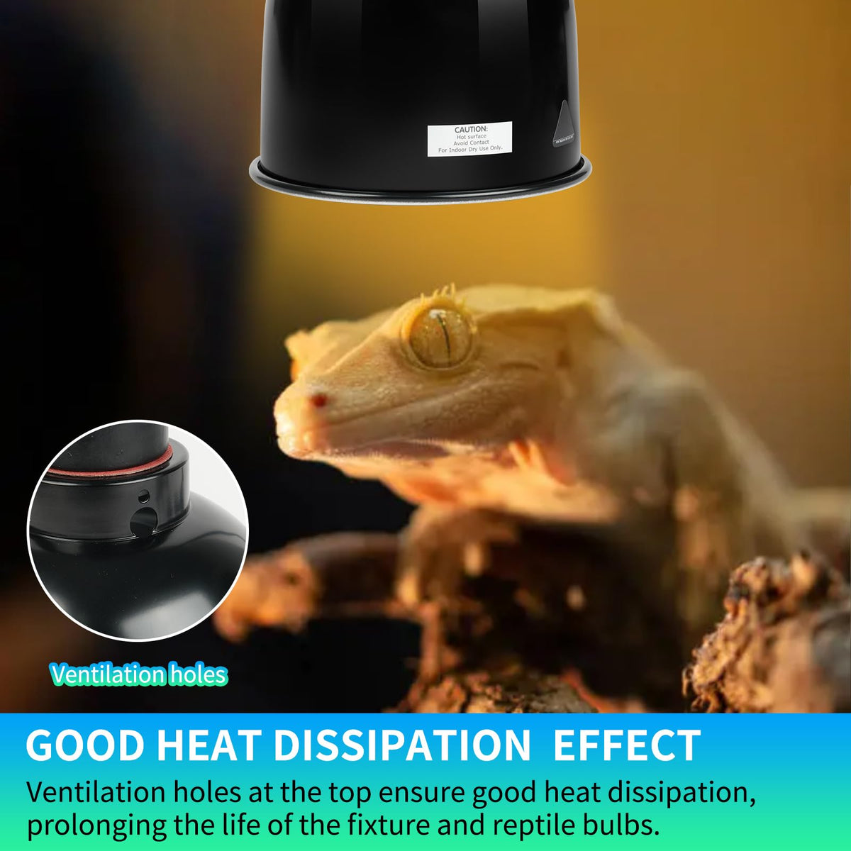 5.5 Inch Deep Dome Reptile Light Fixture with Dimming Thermostat A210
