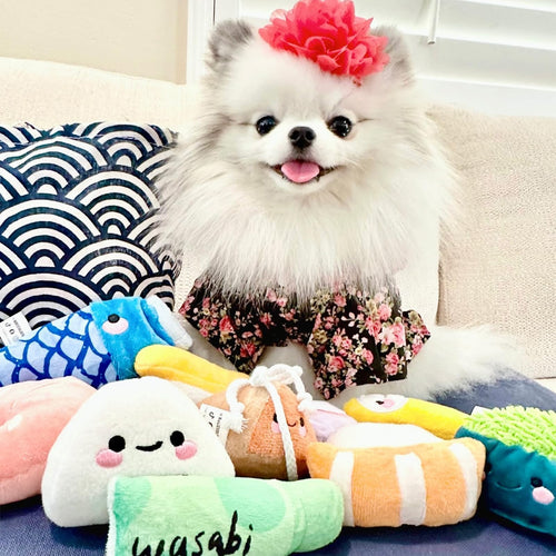 10 PC Squeaky Plush Dog Toys with Bag U880