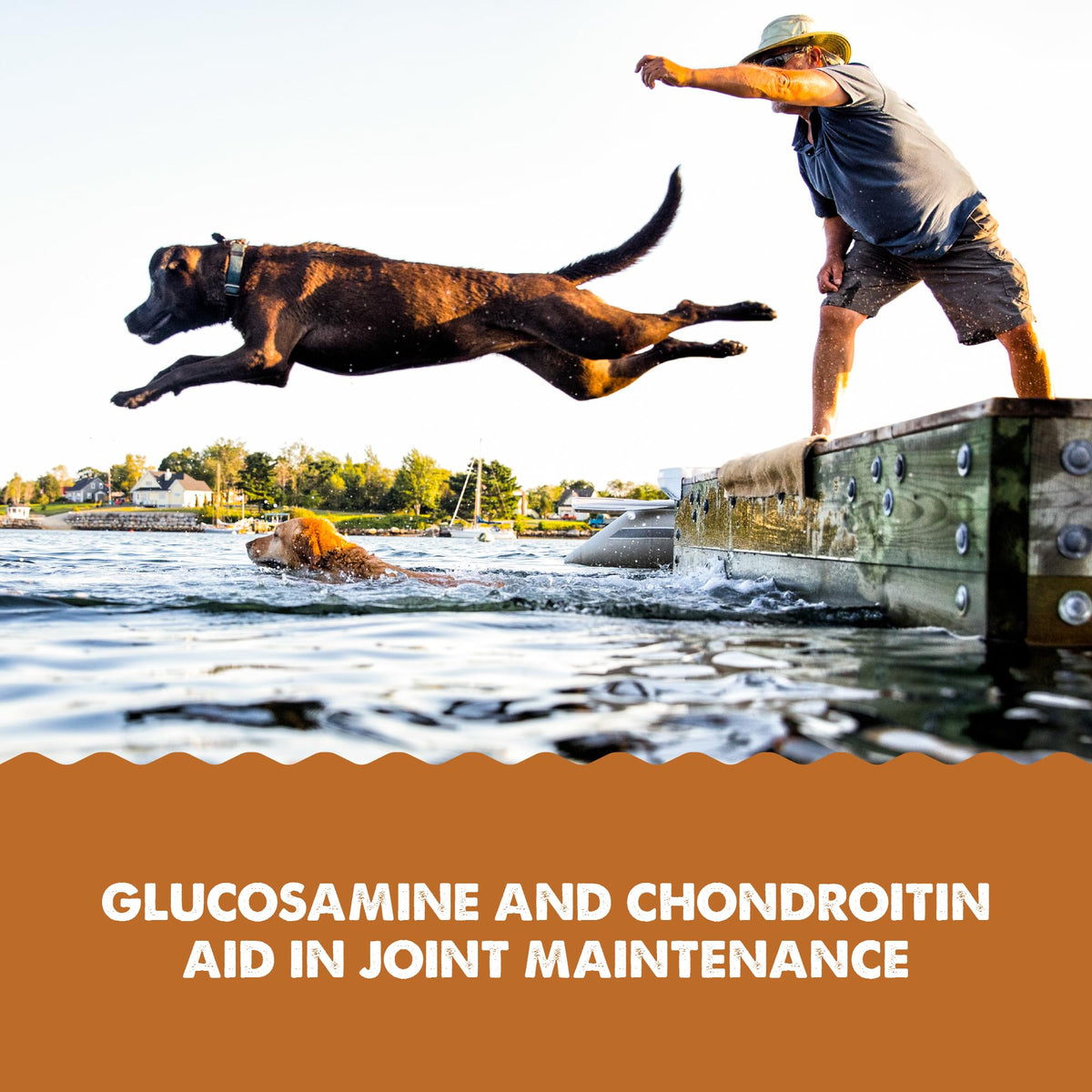 Joint Health Supplement for Dogs and Cats, 32 Ounce S97362
