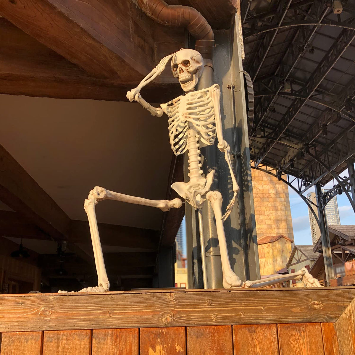 2Packs 5.4ft Life Size Full Body Skeletons with Movable Joints M35470