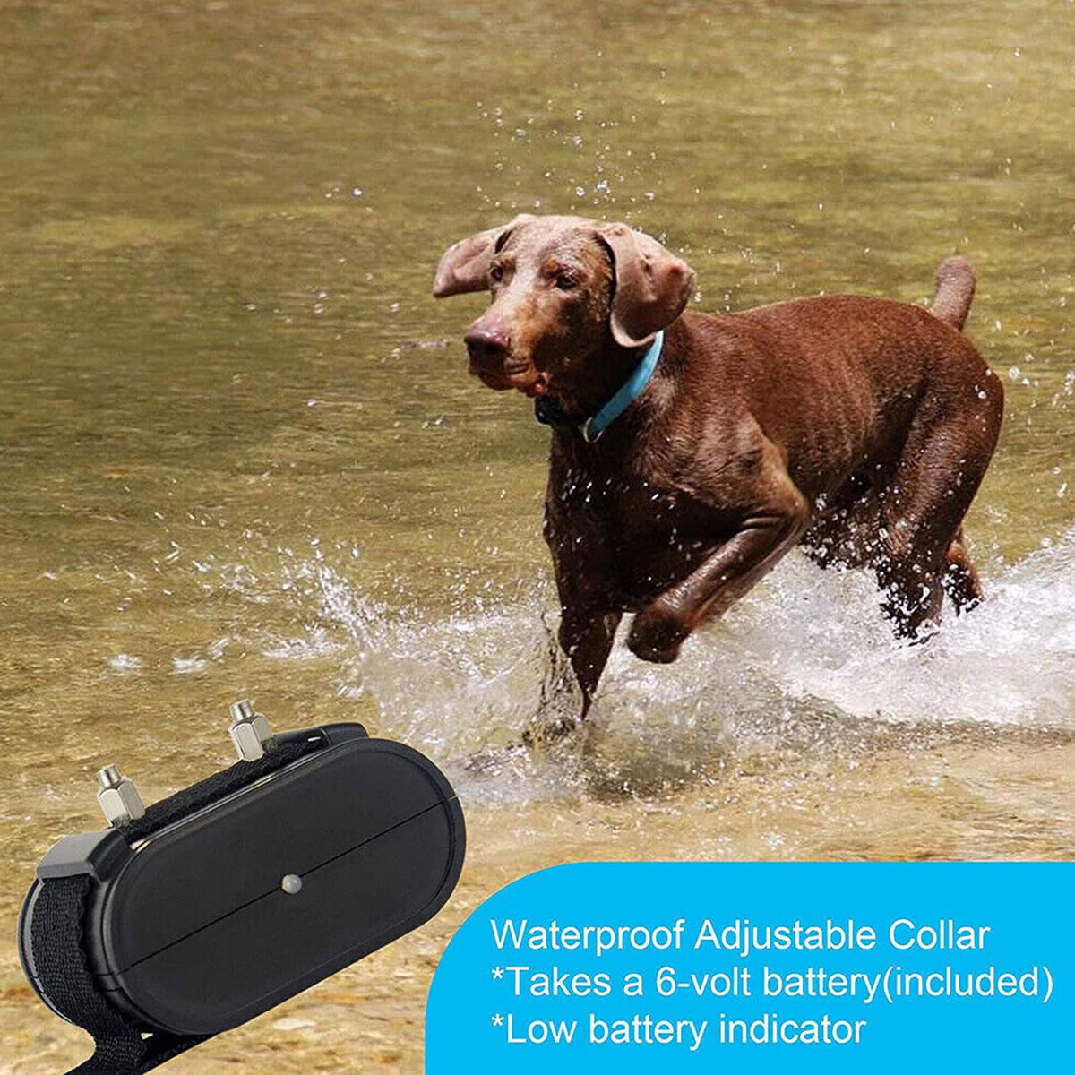 Electronic Dog Fence & Training Collar System, 1/2 Acre, Waterproof M4246