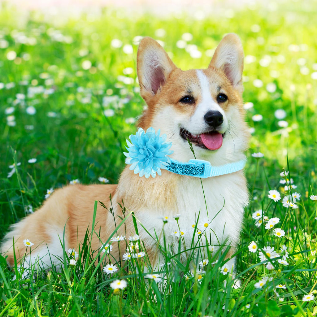 120 Pcs Multicolor Dog Collar Bows R184