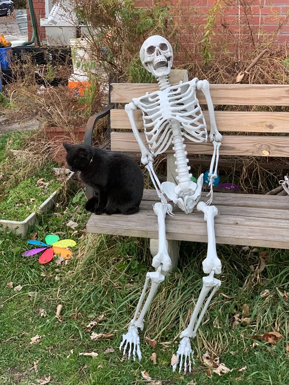 2Packs 5.4ft Life Size Full Body Skeletons with Movable Joints M35470