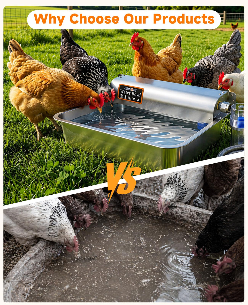 Automatic Chicken Waterer 304 Stainless Steel O1220