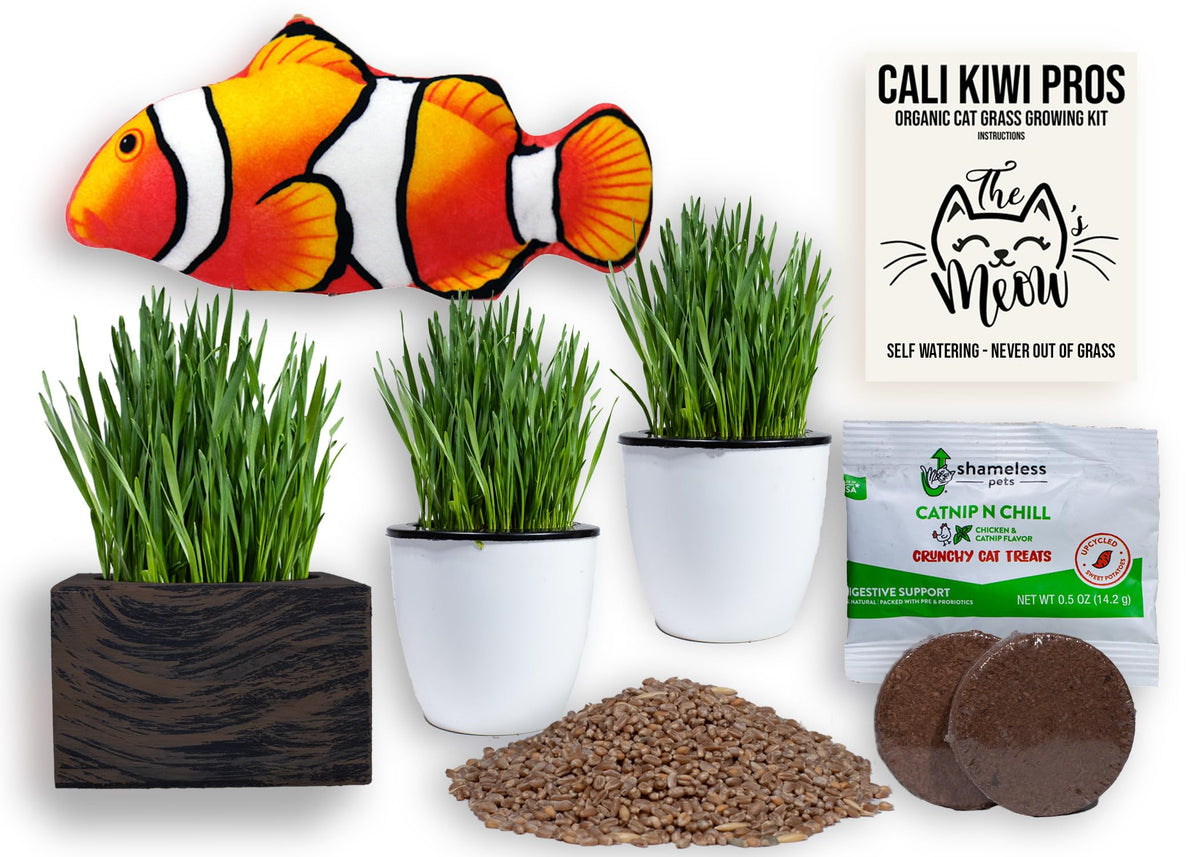 Organic Cat Grass Kit with Interactive Fish Toy V4266
