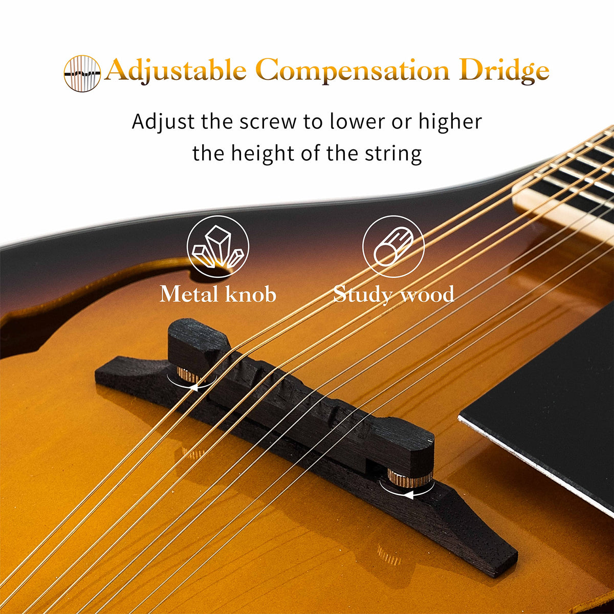 8 String Mahogany Wood Acoustic Mandolin Kit with Gig Bag P77339