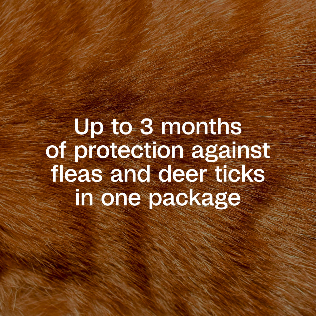 Flea and Tick Prevention Spot On for Cats 3 Pack K227787