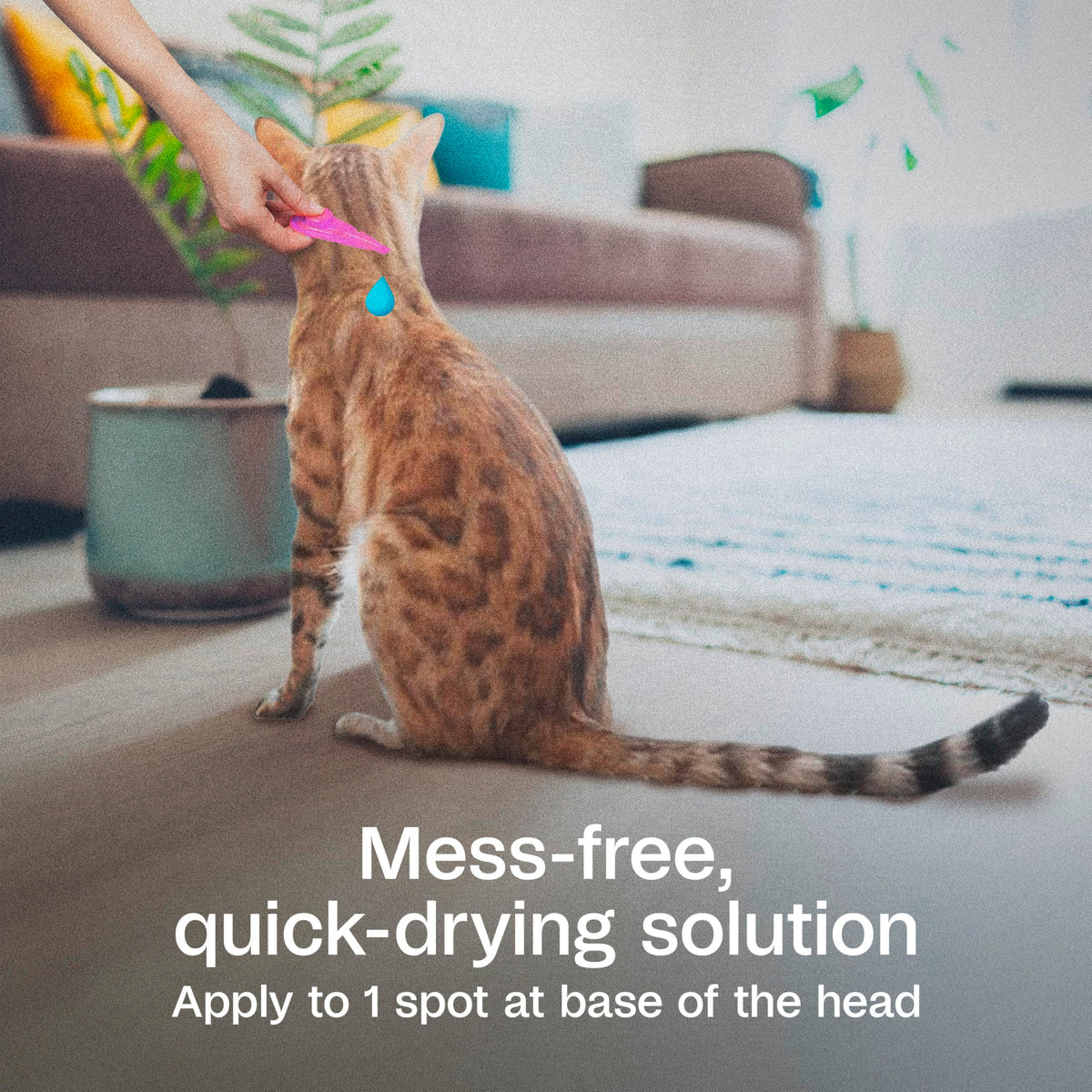 Flea and Tick Prevention Spot On for Cats 3 Pack K227787
